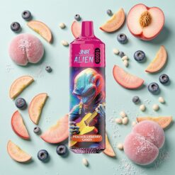JNR Alien 10000 Bouffées 850mAh Pêche Myrtille Bonbon