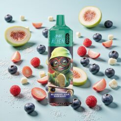 JNR Alien 10000 Puffs 20ml Batterie 850mah Myrtille Framboise Acidulée