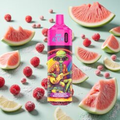 JNR Alien 10000 Puffs 850mAh Framboise Pastèque