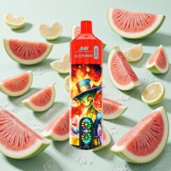 JNR Alien Max 18000 Bouffées Dual Mesh Coil Pastèque Glacée