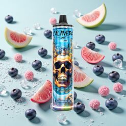 JNR Calavera 11000 Bouffées Port Type-C 21ml Myrtille Glace