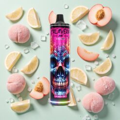 JNR Calavera 11000 Bouffées Port Type-C 21ml Pêche Glacée