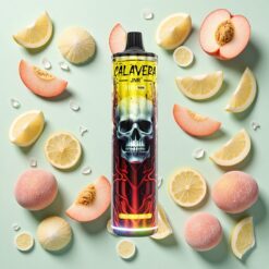 JNR Calavera 11000 Bouffées Port Type-C 21ml Pêche Mangue