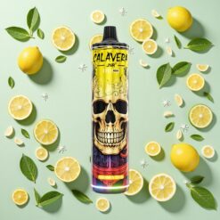 JNR Calavera 11000 Bouffées Port Type-C 850mAh Citron & Citron Vert
