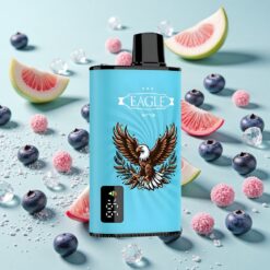 JNR EAGLE Smart 23000 Bouffées Écran Numérique Myrtille Glacée