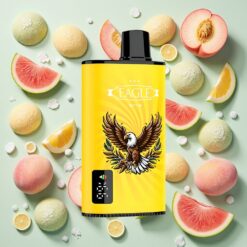 JNR EAGLE Smart 23000 Bouffées Écran Numérique Pêche Mangue Pastèque