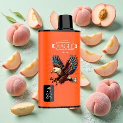 JNR EAGLE Smart 23000 Bouffées Écran Numérique Pêches Juteuses