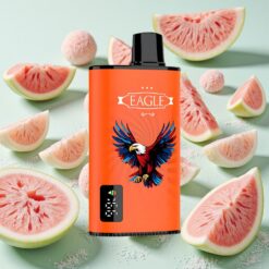 JNR EAGLE Smart 23000 Puffs Écran Numérique Pastèque Bubblegum