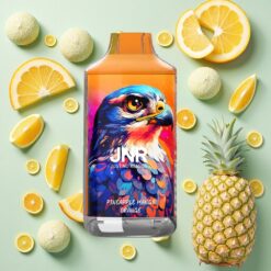 JNR Falcon 16000 Bouffées Ananas Mangue Orange 22ml 0% 2%