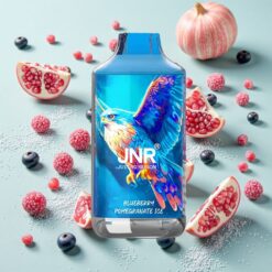 JNR Falcon 16000 Bouffées Myrtille Grenade Glace avec Affichage LED Intelligent