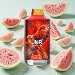 JNR Falcon 16000 Bouffées Pastèque Bubblegum 22ml 0% 2%