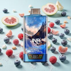 JNR Falcon Pro 28000 28000 Bouffées Myrtille Framboise Cerise