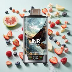 JNR Falcon Pro 28000 28000 Bouffées USB Type-C Baies Mixtes