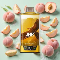 JNR Falcon Pro 28000 30ml Affichage Intelligent Pêches Juteuses