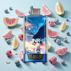 JNR Falcon Pro 28000 Bouffées 30ml Capacité Bleu Framboise Cerise