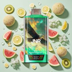 JNR Falcon Pro 28000 Bouffées 30ml Kiwi Pastèque Glacée
