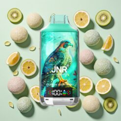 JNR Falcon X 18000 Bouffées Affichage Numérique Fruit de la Passion Kiwi