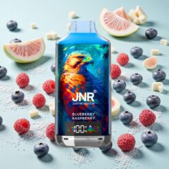 JNR Falcon X 18000 Bouffées Affichage Numérique Myrtille Framboise