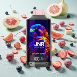 JNR Falcon X 18000 Bouffées Cerise Baies