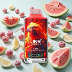 JNR Falcon X 18000 Bouffées Cerise Pastèque Glacée