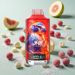 JNR Falcon X 18000 Bouffées Double Mesh 24ml Cerise