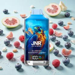 JNR Falcon X 18000 Bouffées Double Mesh Charge Rapide Type-C Myrtille Framboise Cerise
