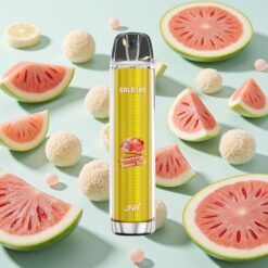 JNR Glod380 6000 Puffs Pastèque Chewing-Gum 13ml