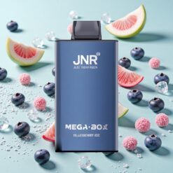 JNR Mega Box 25000 Bouffées Charge Rapide Type-C Myrtille Glacée