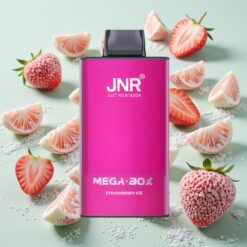 JNR Mega Box 25000 Bouffées Double Mesh Glace à la Fraise