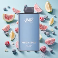 JNR Mega Box 25000 Bouffées Dual Mesh Bleu Framboise Cerise