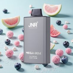 JNR Mega Box 25000 Bouffées Dual Mesh Charge Rapide Type-C Bubblegum Myrtille