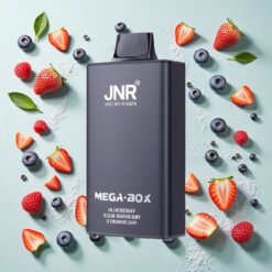 JNR Mega Box 25000 Bouffées Vape Jetable Myrtille Framboise Acidulée Fraise