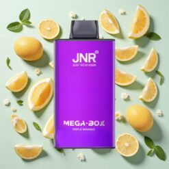 JNR Mega Box 25000 Puffs Triple Mangue 30ml 850mAh