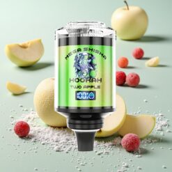 JNR Mega Shisha 100K Écran Intelligent 2% Nicotine Deux Pomme