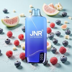 JNR Rainbow 10500 Bouffées 18ml Réservoir Myrtille Framboise