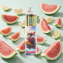 JNR Rocket-X 12400 Bouffées 25ml Pastèque Glacée avec Charge Rapide Type-C