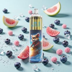 JNR Rocket-X 12400 Bouffées Charge Rapide Type-C Glace Myrtille Vape Jetable