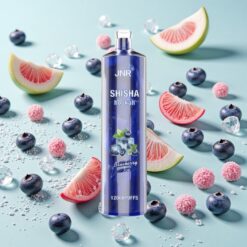 JNR Shisha Hookah 12000 Bouffées 24ml Glace Myrtille