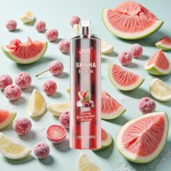 JNR Shisha Hookah 12000 Bouffées Cerise Pastèque Glacée 24ml 0,6 Ohm