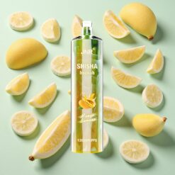 JNR Shisha Hookah 12000 Puffs 24ml Mangue Banane