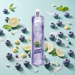 JNR Shisha Hookah 12000 Puffs 24ml Myrtille Menthe