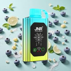 JNR Shisha Hookah Box 20500 Bouffées 25ml Myrtille Menthe