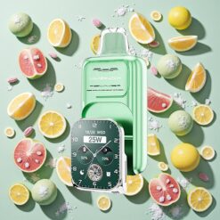 JNR VapeWatch 30000 Bouffées 19mL Menthe de Miami