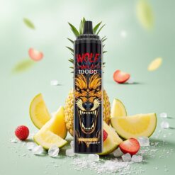JNR Wolf Niplo 10000 Bouffées Charge Rapide Type-C Ananas Glacé
