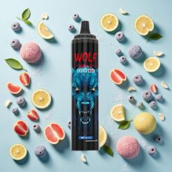 JNR Wolf Niplo 10000 Puffs 20ml Recharge Type-C Bleu Mr