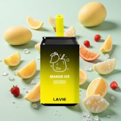 LAVIE Aurora 11000 Bouffées Rechargeable Type C Mangue Glacée