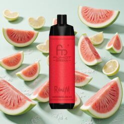 RandM Fumot Chicha 10000 Bouffées 18ml E-liquide Prérempli Pastèque Glacée