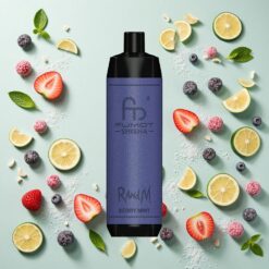 RandM Fumot Chicha 10000 Bouffées 18ml Préremplie Menthe Baies