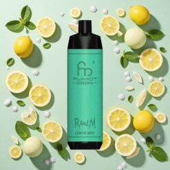 RandM Fumot Shisha 10000 Puffs 18ml Citron Menthe