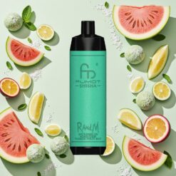 RandM Fumot Shisha 10000 Puffs 18ml Pastèque Melon Miel Passion Menthe